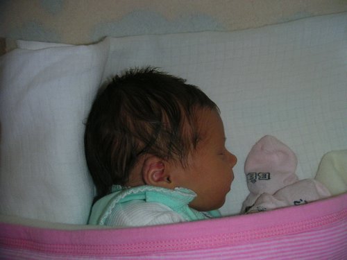 PICT0013.JPG