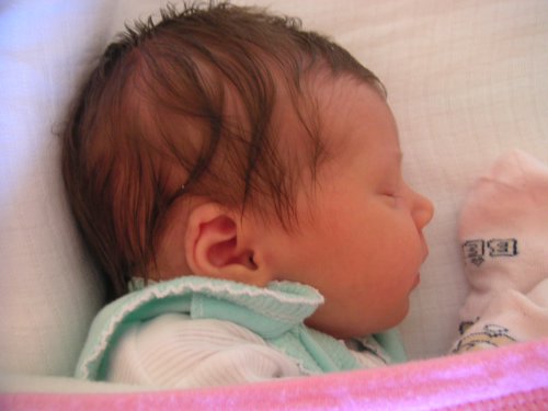 PICT0015.JPG