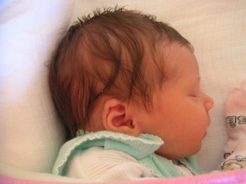PICT0016.JPG