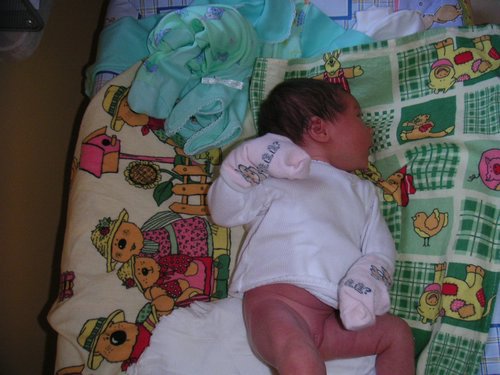 PICT0020.JPG