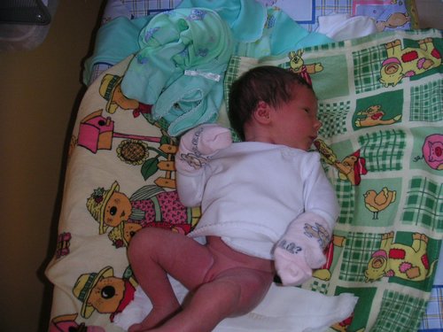 PICT0021.JPG