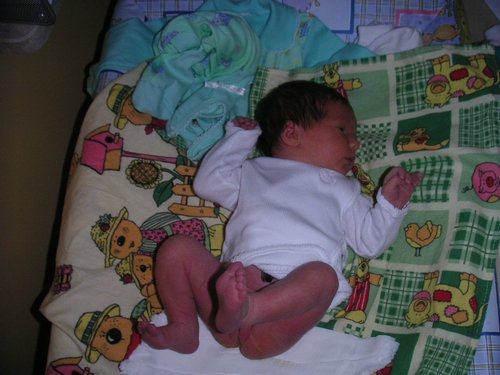 PICT0022.JPG