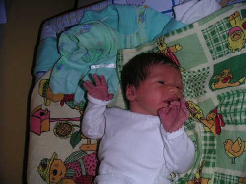PICT0023.JPG