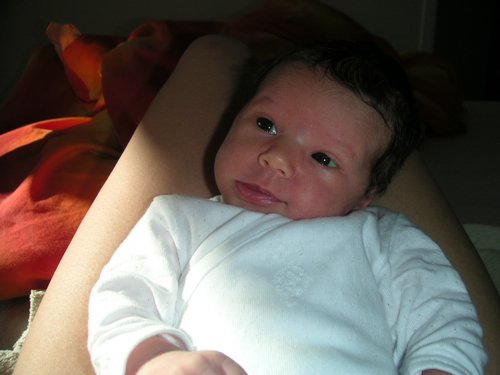 PICT0072.JPG