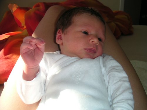 PICT0073.JPG