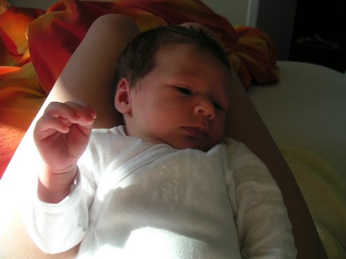PICT0074.JPG