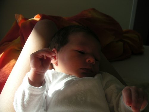 PICT0075.JPG