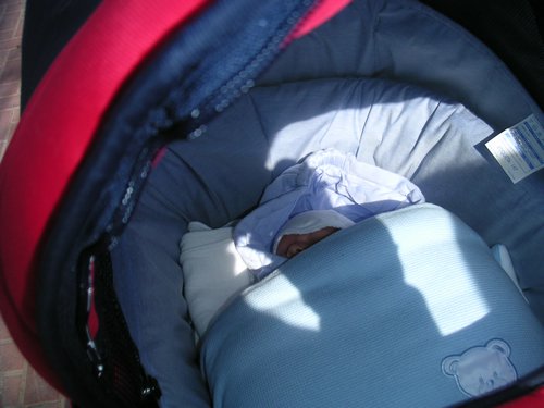 PICT0088.JPG