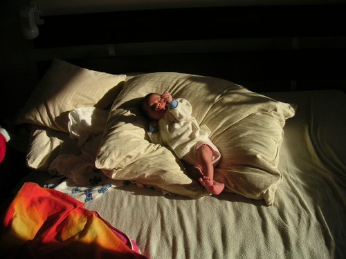 PICT0110.JPG