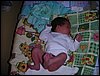 PICT0022.JPG