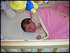 PICT0105.JPG