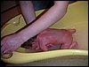 PICT0118.JPG