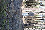 ludka04,092005 025.jpg