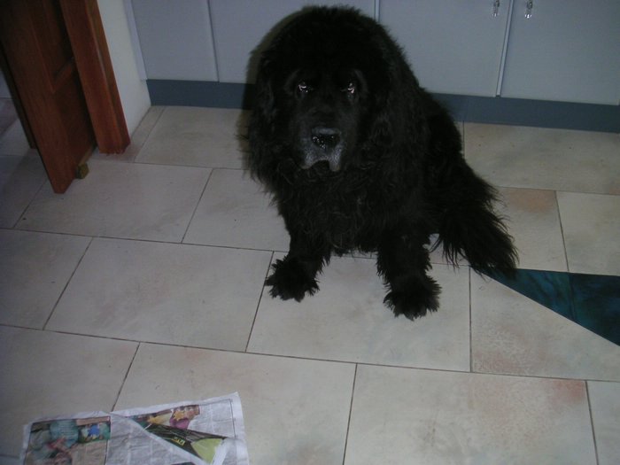 PICT0001.JPG