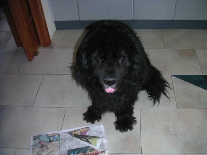 PICT0002.JPG