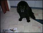 PICT0001.JPG