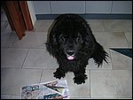 PICT0002.JPG