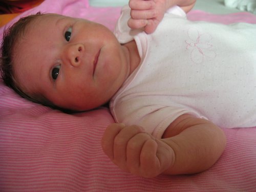 PICT0017.JPG