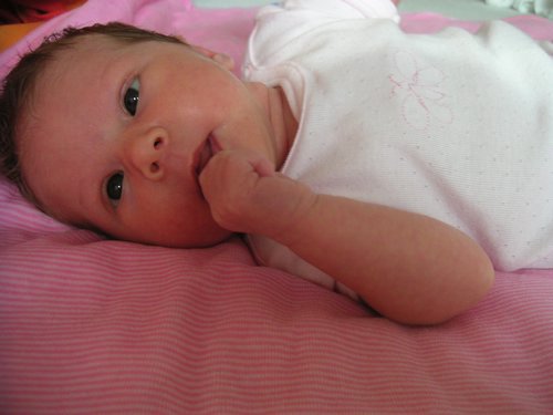 PICT0018.JPG