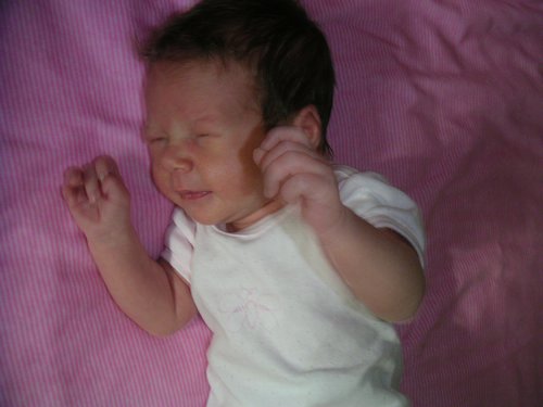 PICT0020.JPG
