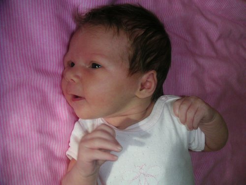 PICT0021.JPG