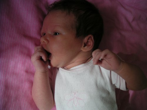 PICT0022.JPG