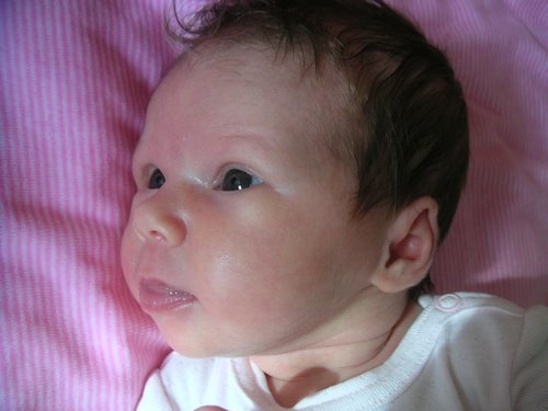 PICT0023.JPG