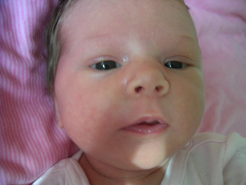 PICT0024.JPG