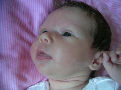 PICT0025.JPG