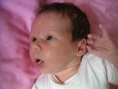 PICT0026.JPG