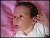 PICT0026.JPG