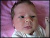 PICT0027.JPG