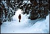 SlowacjaChopk_12.1999_022.jpg