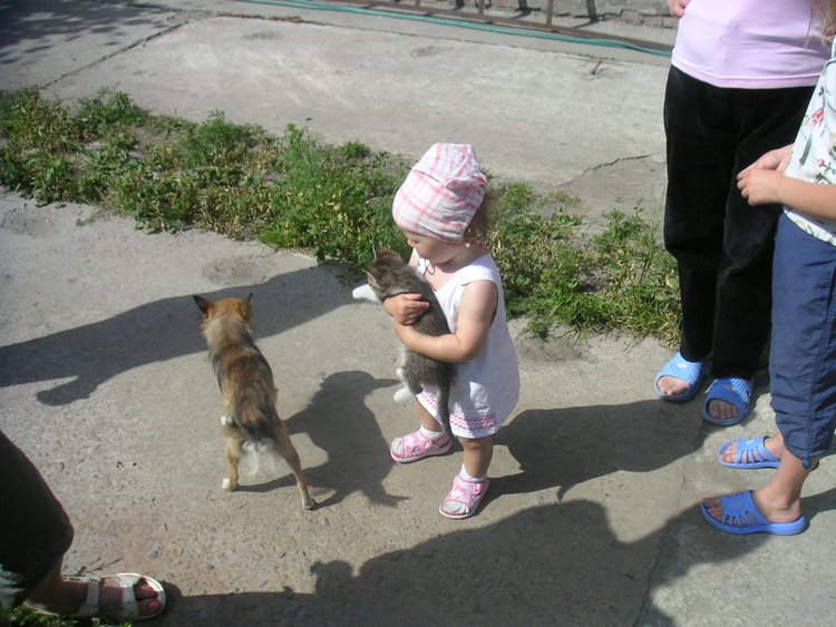 PICT0004.JPG