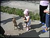 PICT0004.JPG