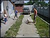 PICT0005.JPG
