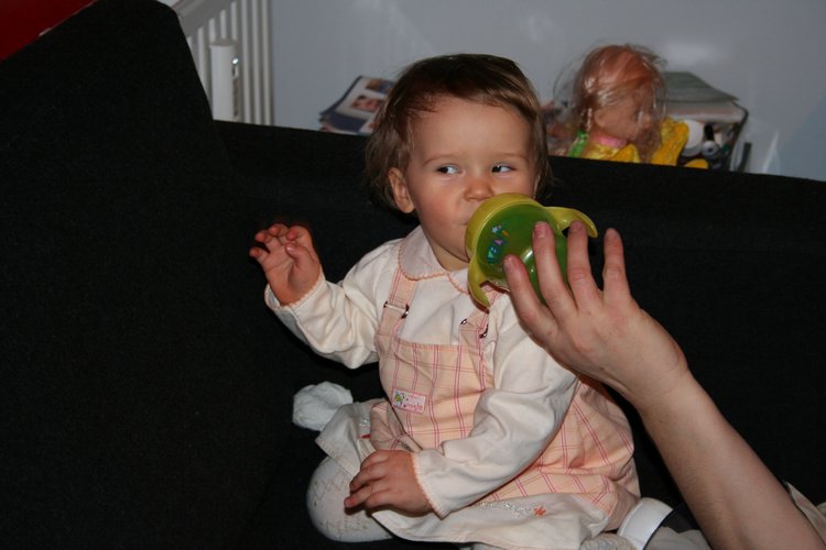 IMG_2623.JPG